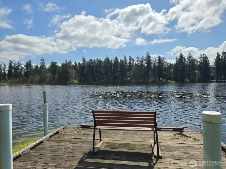 Community WF Park - Sit back on the dock bench and take in the calm water, lily pads, and forested shoreline.
