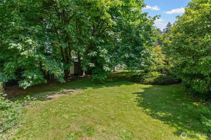 Over 11,000 square feet of fully fenced Eastgate Bellevue lot — and this is just the backyard. Mature shade trees, a storage shed, and a wide open lawn that's ready for gardens, entertaining, kids, or pets.