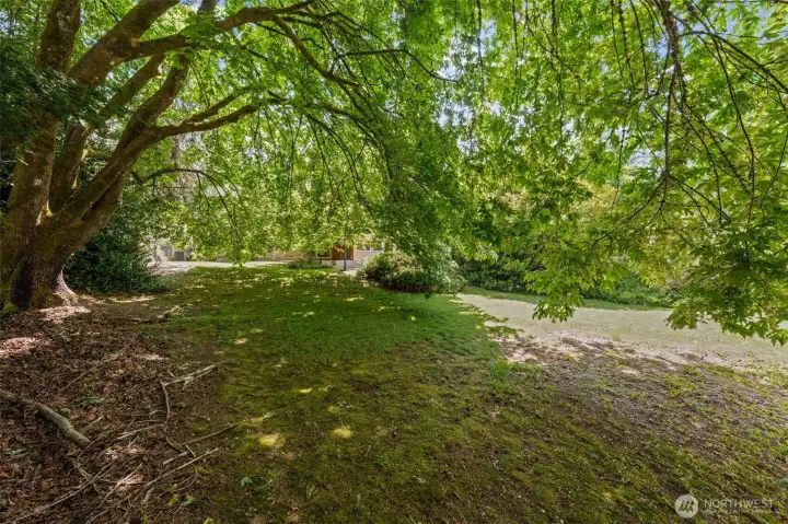 This is what fully fenced and private looks like in Eastgate Bellevue — a canopy of mature trees, open green space, and room to breathe. For buyers downsizing in the greater Seattle area, this is the rare find where you get less house to maintain but more yard to love. Entertain, garden, or just exhale — all five minutes from I-90 and everything Bellevue WA has to offer.
