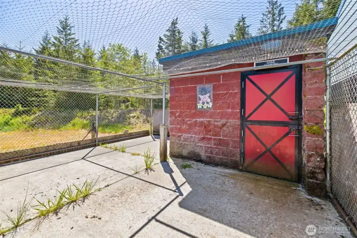 Chicken coop or Dog run