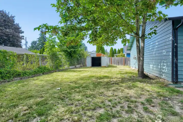Backyard