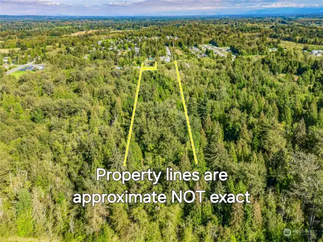 Aerial shows valuable evergreens dominating over 60% of the 8.9 acres.