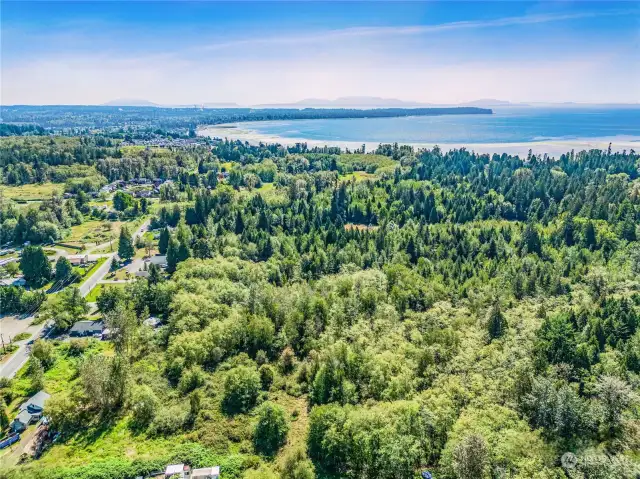 Viewing south from the first third of the property, northern border.