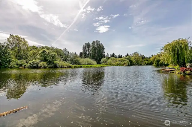 Waterview from dock