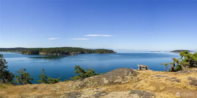 Or zip outside to watch nature at its best from this perch above the bay.