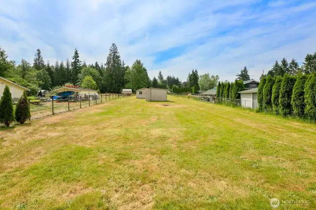 Backyard