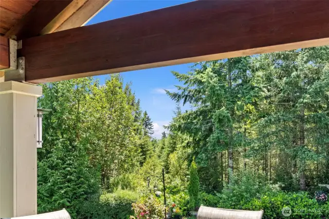 Patio with Peek-A-Boo view of Rainier