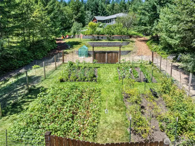 Imagine what's growing here... strawberries for one. Lots of love has gone into this garden. A fence keeps the noshers out.