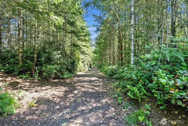 1 of 3 trails