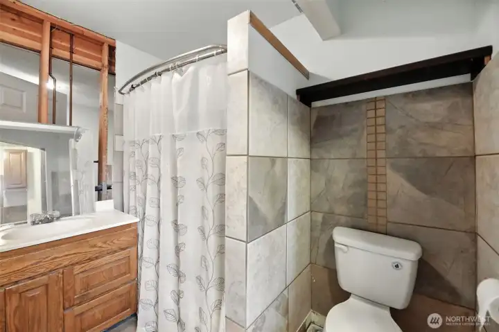 Downstairs bathroom - incomplete remodel