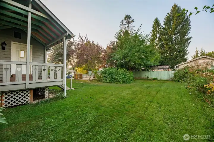 East side yard.