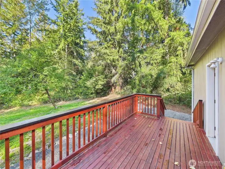 Amazing Back Yard for Hosting