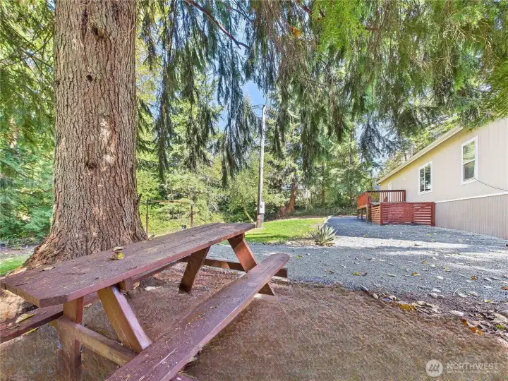 Over 4 Acres of Land!!!