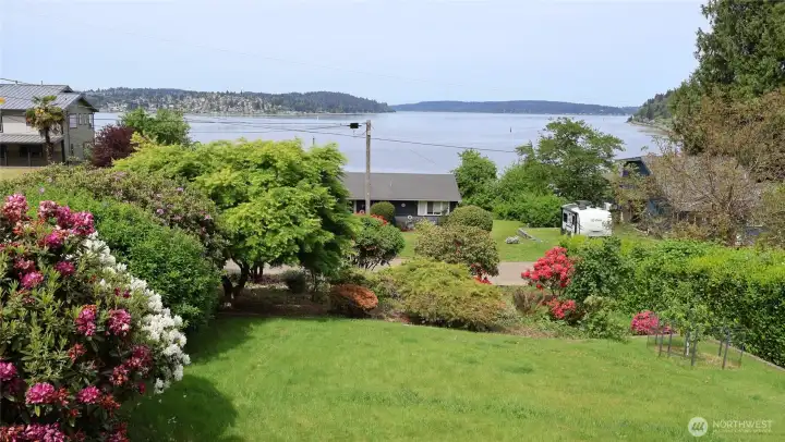Lush mature landscaping Lush mature landscaping