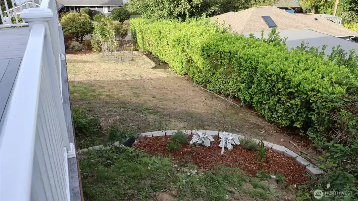 Side yard