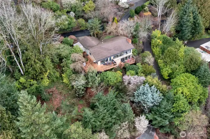 Setting is private and secluded. Lot size is 15,681 SQ FT.