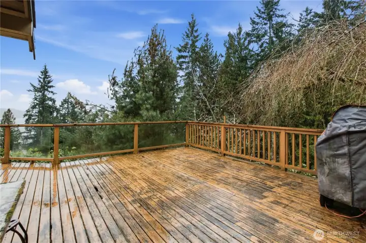 Another view of the upper deck, wrap around and access from the front of the home.