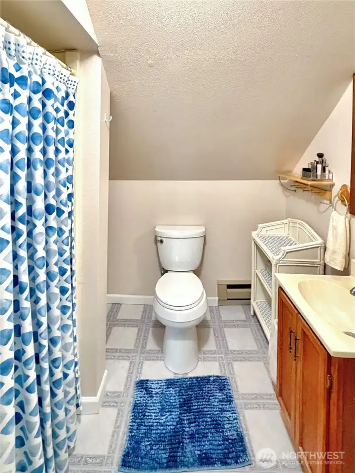 Another view of shower in upper hall bath.