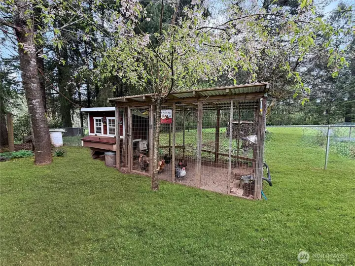 Charming chicken coop.  Got Eggs!
