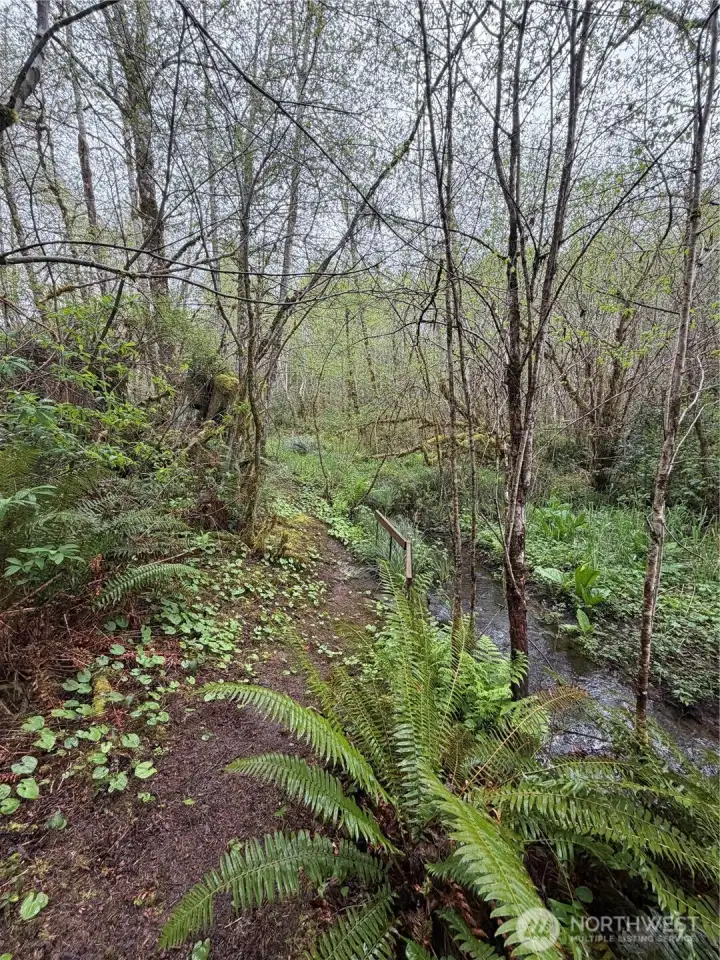 Gorgeous trails wind throughout the wooded back of the property