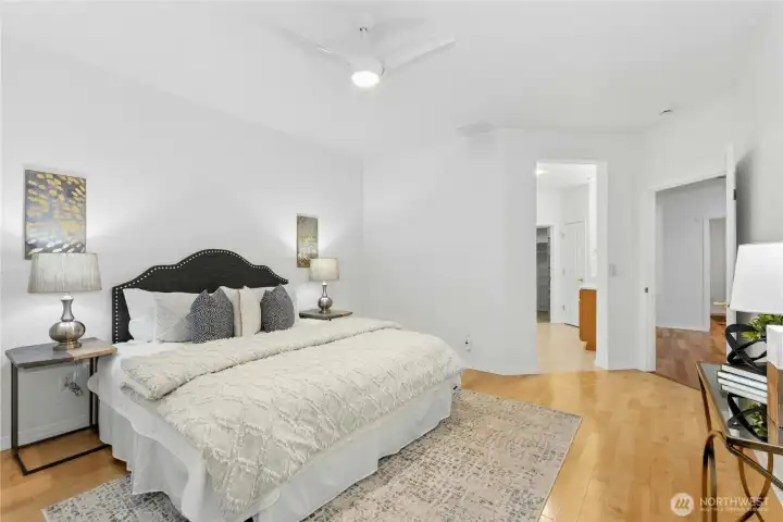New stylish remote controlled ceiling fan with light installed in 2024.