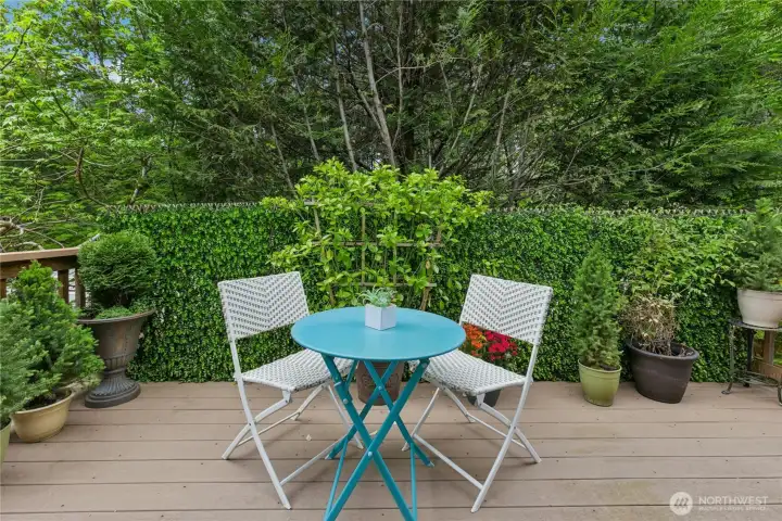 Rear deck off dining room surrounded by greenery.