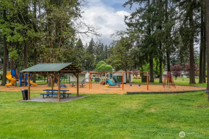 Tanglewilde park