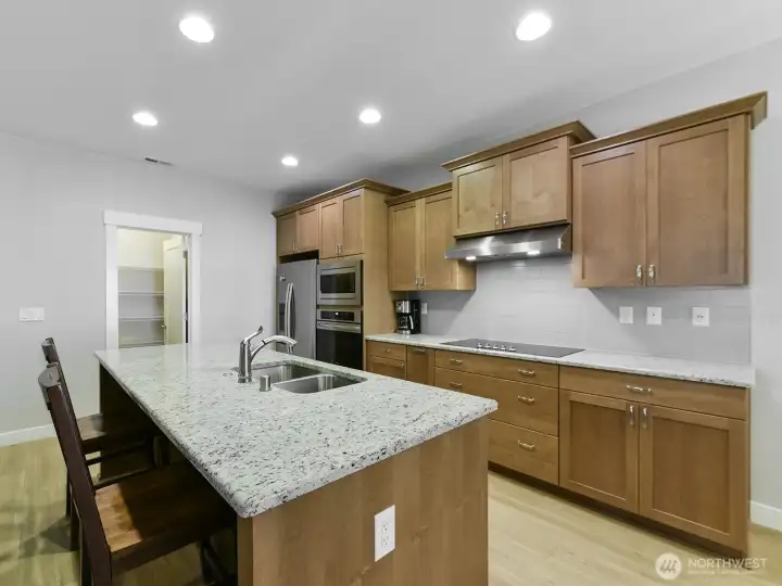 Stainless steel and stone dominate the kitchen. A walk-in pantry is close at hand.
