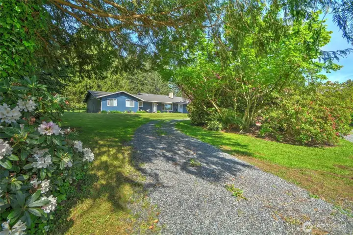 Welcome home to 11919 60th — where country charm meets everyday comfort. Nestled on over an acre of lush, park-like grounds in the beloved Lake Stevens School District, this beautifully updated 2,735 sq. ft. single-story home is the perfect setting for multi-generational living and effortless entertaining.