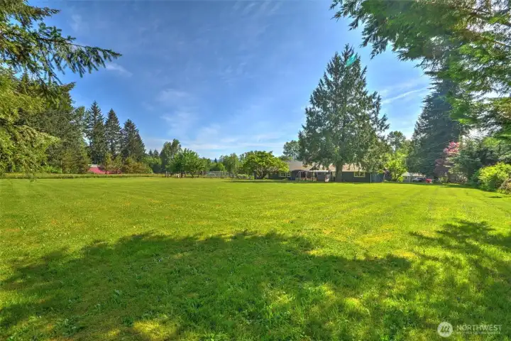 Level, lush green lawn — park-like and peaceful, ready for play and gatherings