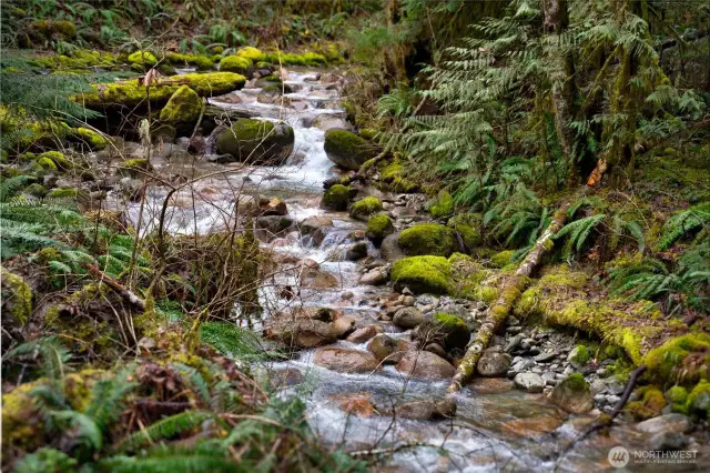 One of the many creeks near home that provide a beautiful setting.