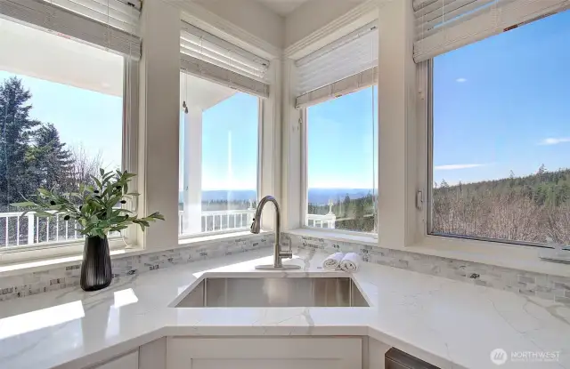 View from kitchen