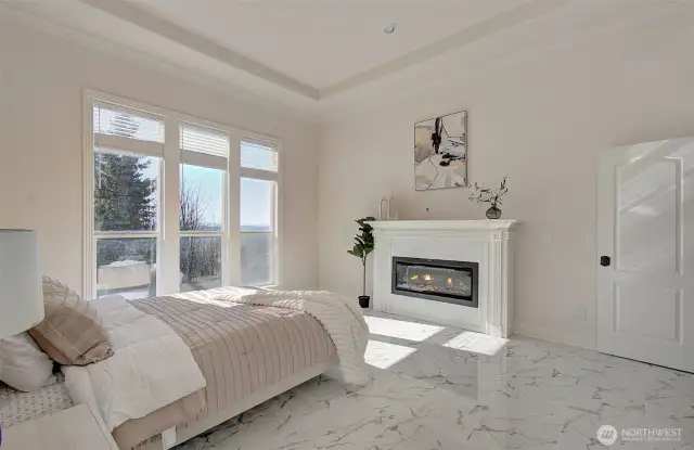 Master bedroom/fireplace