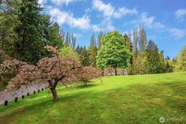 Woodland Park.  2 blocks to the North.