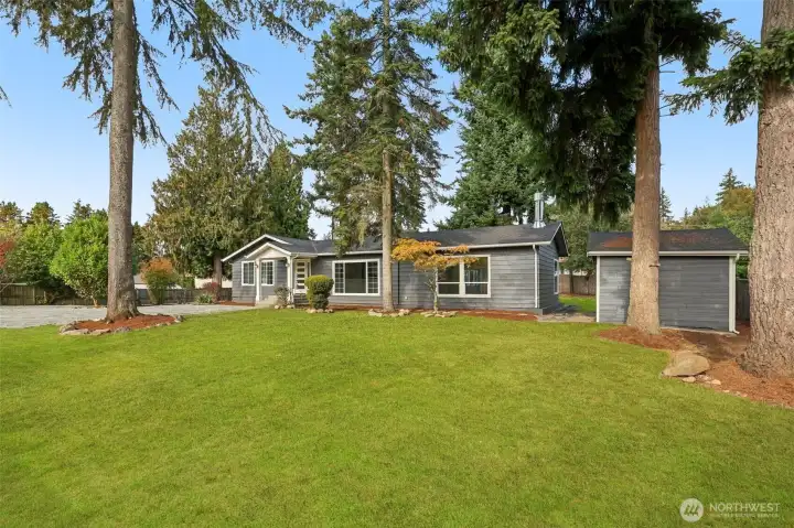 Front Yard Side
