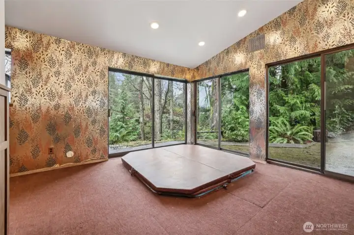Lower level atrium with doorss to wooded area; note hot tub does not work
