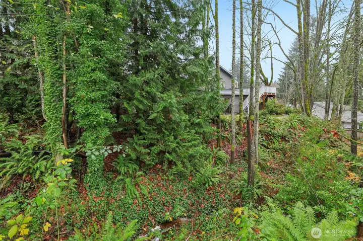 View of home from East side of property