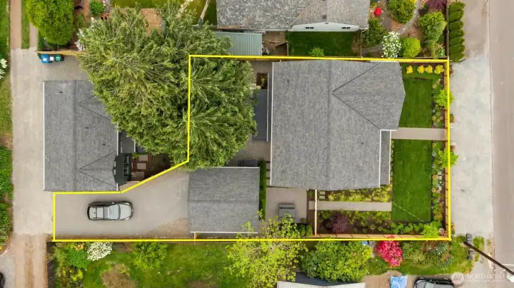 Approximate lines showing the 6,031 SF lot for 10419 41st Ave SW #A