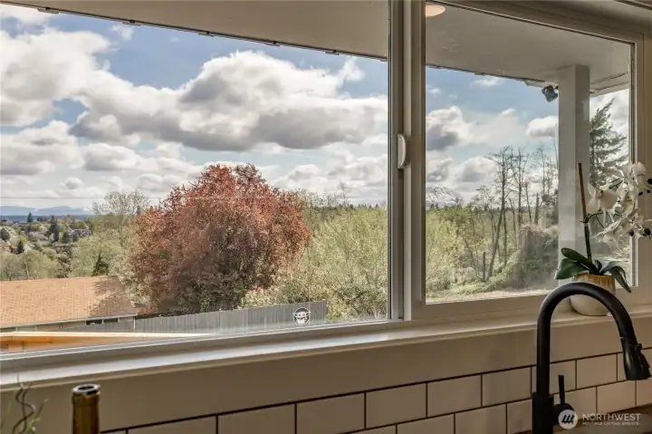 Mount Rainier view right from your kitchen window!