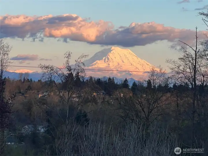 The ultimate Pacific Northwest backdrop: breathtaking, front-row views of Mt. Rainier right from your own property