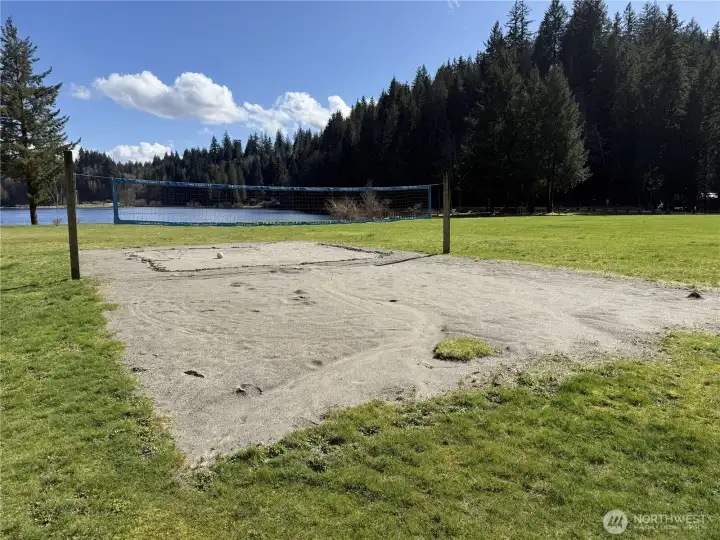 voolleyball