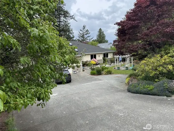 Front yard