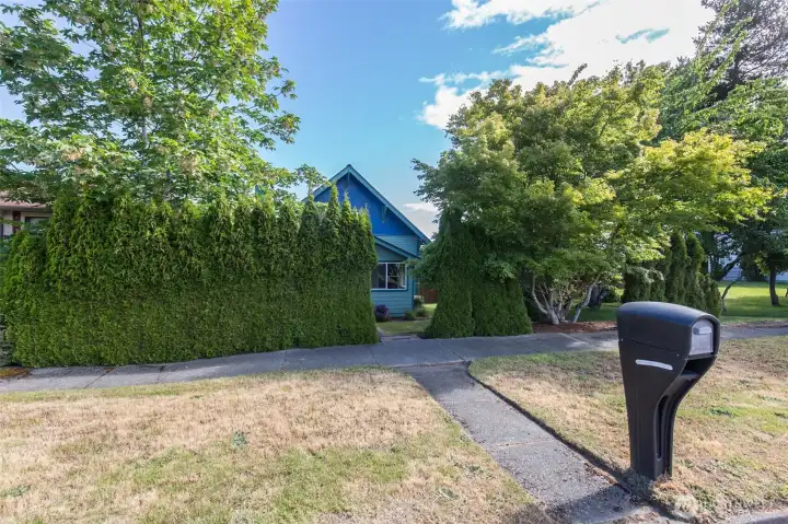 A street-side perspective features the mailbox and a paved walkway leading past a large privacy hedge toward the home.