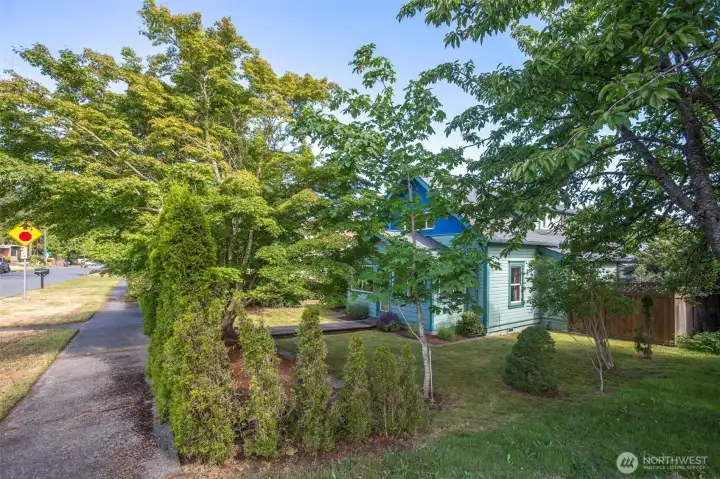 A corner street view highlights the property's mature trees, sidewalk, and dense green hedges that offer excellent curb appeal and privacy.