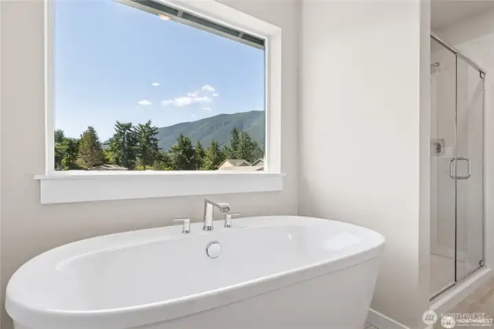 Soaking tub and separate shower in primary suite
