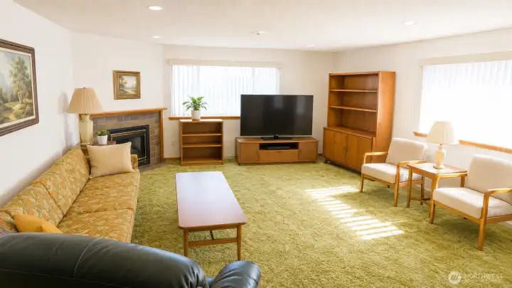Massive living room with lots of light.