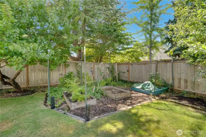 Raised garden beds, along with blueberry, cherry, and raspberry plantings, create an enjoyable space for anyone who loves growing fresh produce, flowers, or their own backyard harvest.