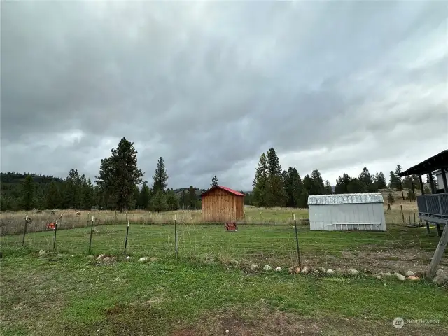 Back yard with both sheds