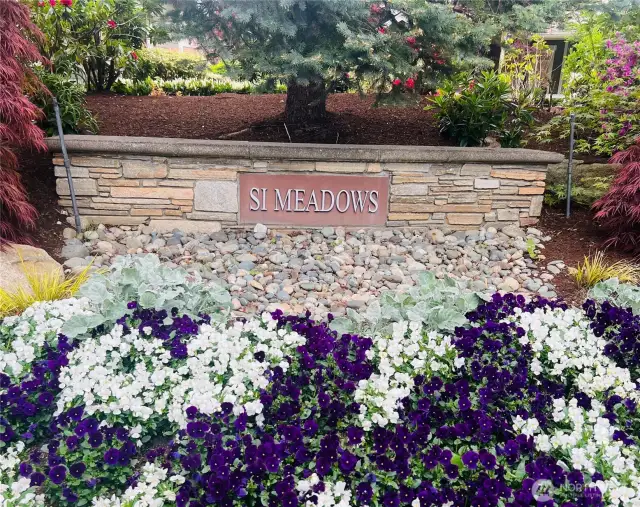 Welcome to Si Meadows!