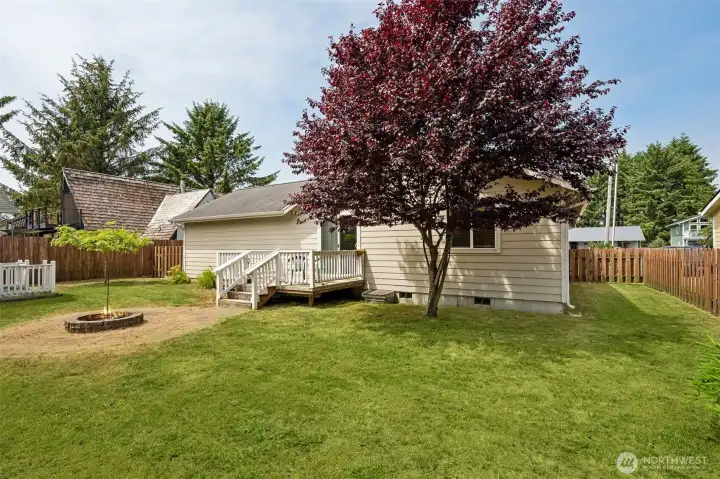 Beautiful mature vegetation